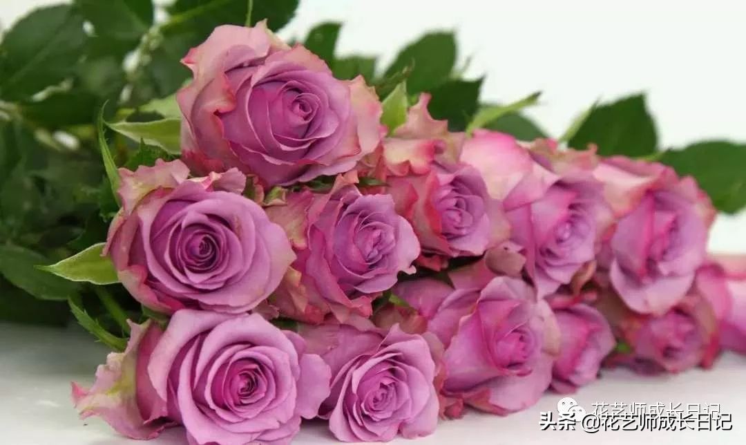 除了康乃馨以外送给妈妈什么花,母亲节送妈妈一束康乃馨