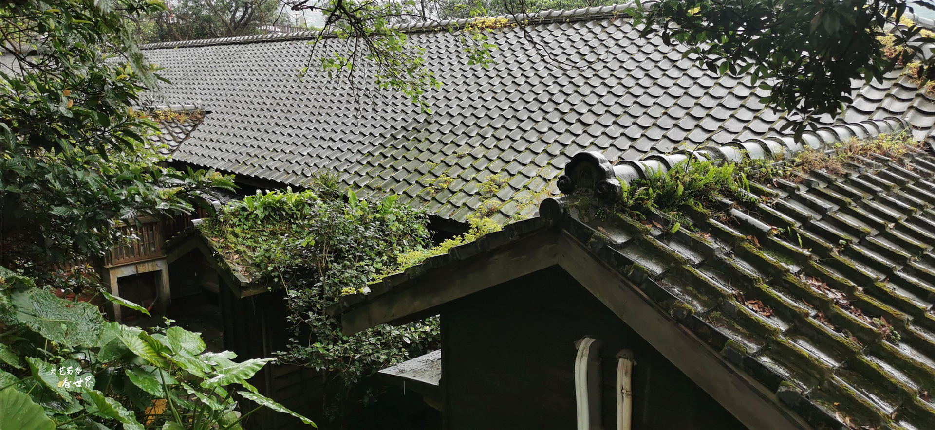 最大的金砖有多大,最大的金砖多少钱