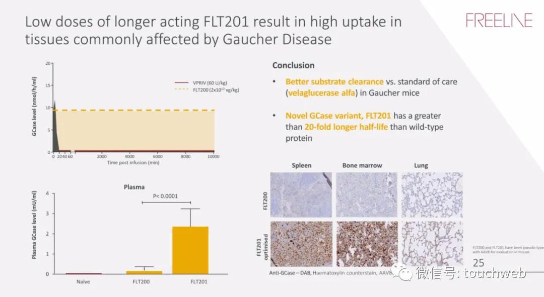 基因治疗最新突破上市公司,基因疗法上市