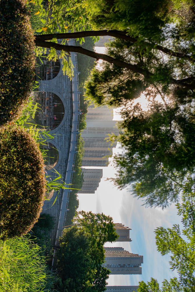 日本相机黑历史,日本相机年代感