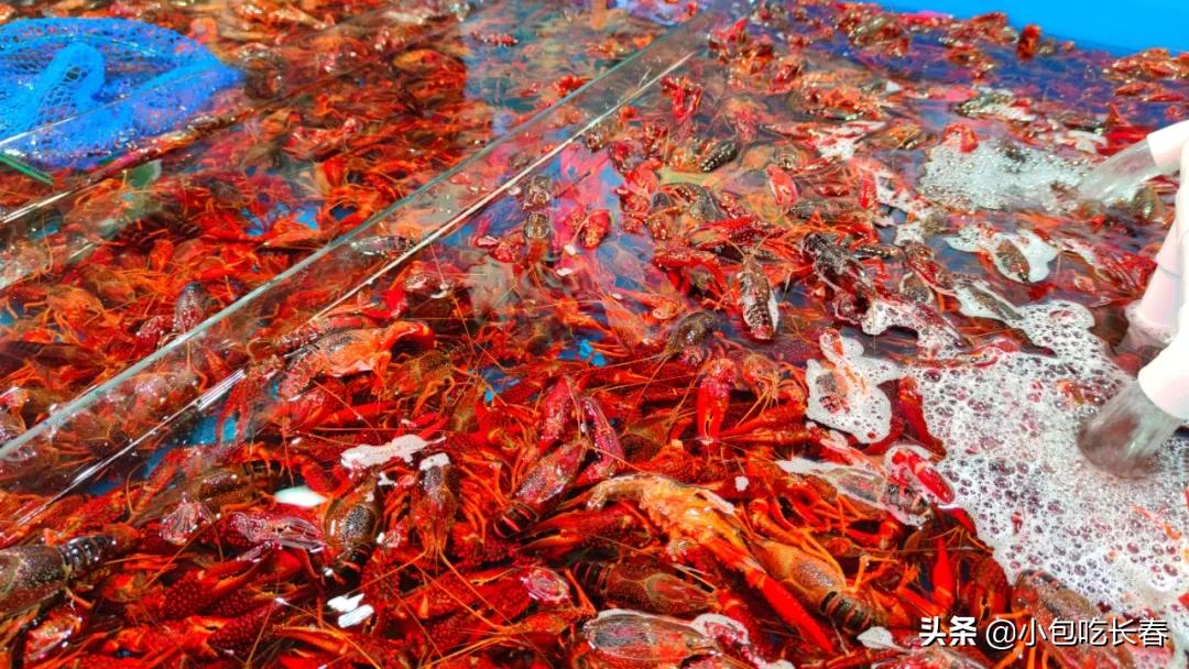 住邦夜市开了吗,住邦夜市在哪