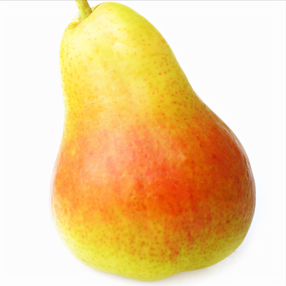 圆脸方脸瓜子脸国字脸画法,国字脸圆脸适合的发型