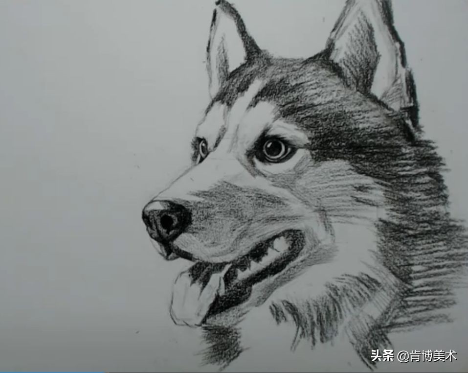 大触学画画,大触画师的简单素描