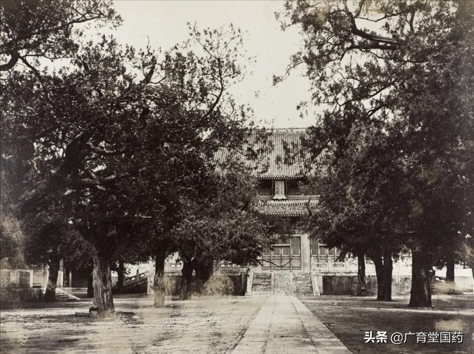 广育堂二仙膏排名,广育堂二仙口服液真的假的