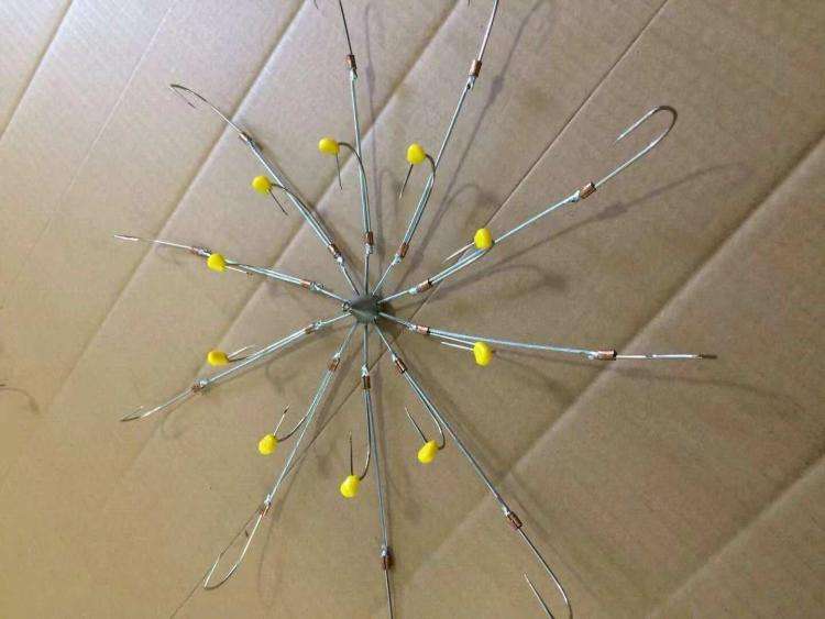 每天百斤鱼获的秘密,牵扯出锚鱼者极力隐藏的“血腥杀戮”