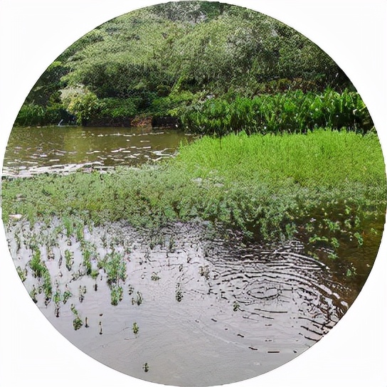 普通人怎么才能变成高手,普通人成为高手的6个步骤