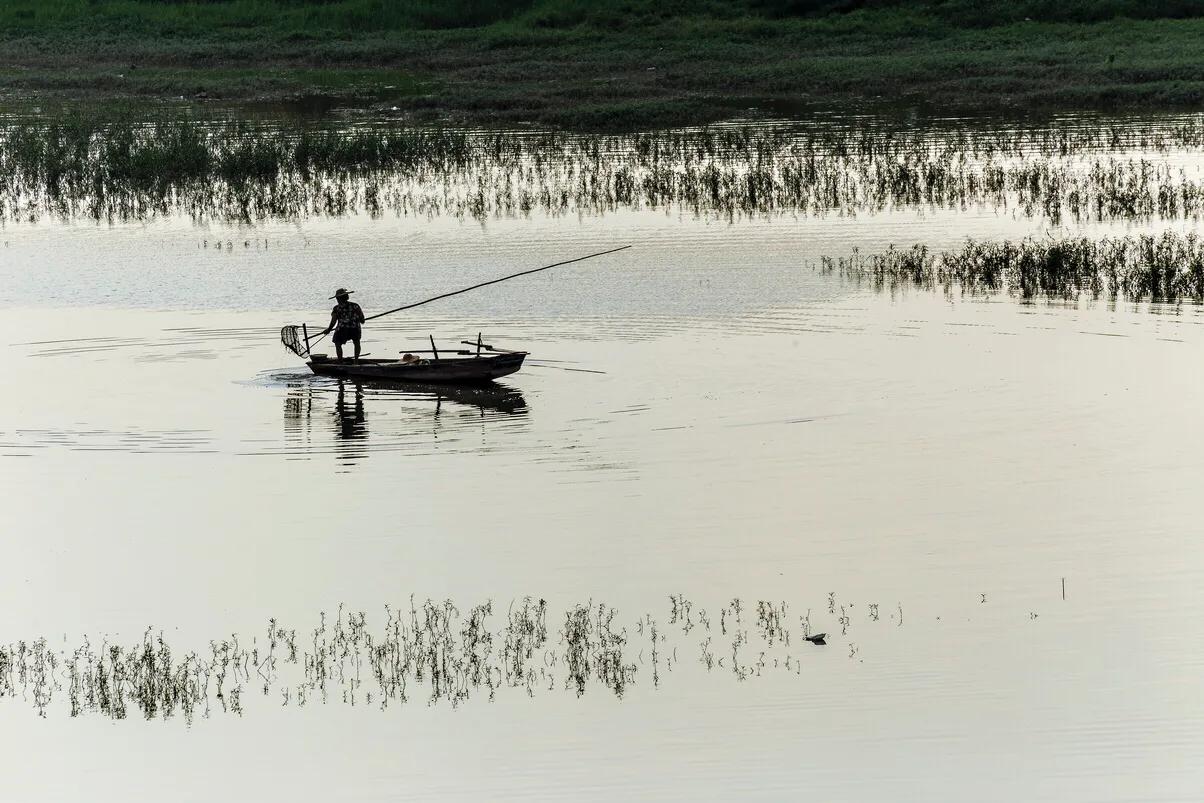 三水北江大堤风景区,北江大堤哪里风景最好