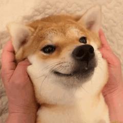 训练唱高音的几个训练技巧,高音每天必练基本功