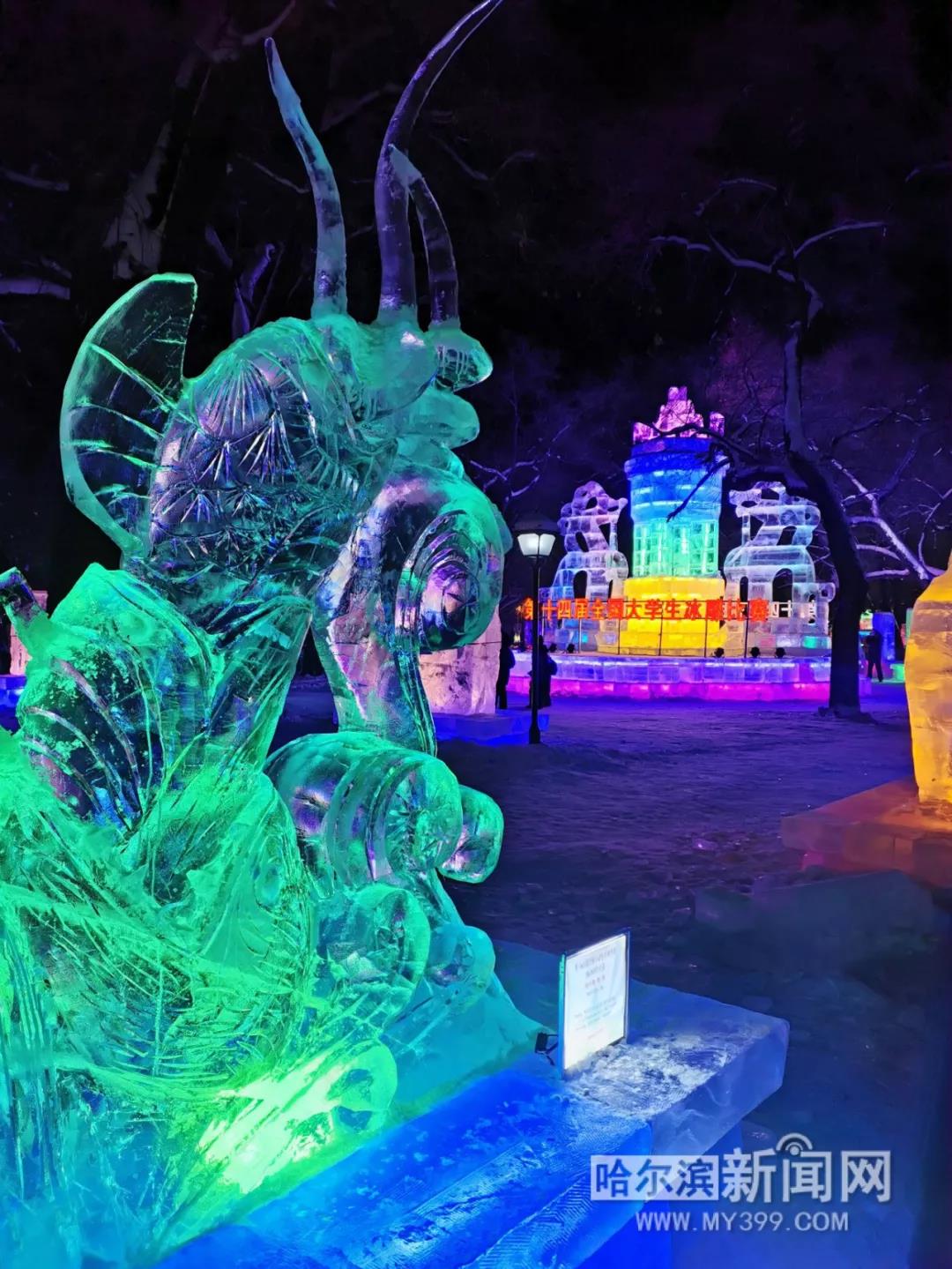 哈尔滨兆麟公园冰灯免费开放时间,哈尔滨第一届冰灯游园图片