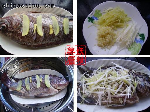 喜欢吃鱼的朋友请收藏,强烈推荐喜欢吃鱼的朋友