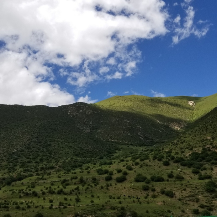 自驾31810天行程,318自驾游第一视角合集