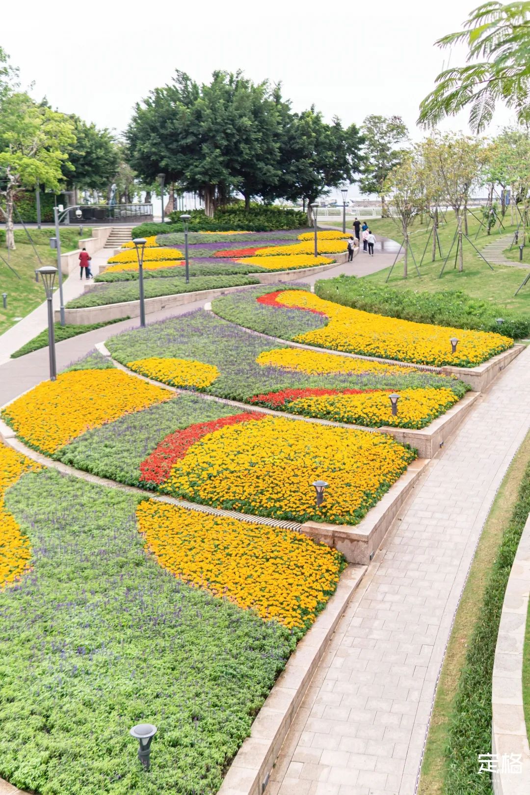 深圳人少的海滨公园,深圳滨海公园怎么样