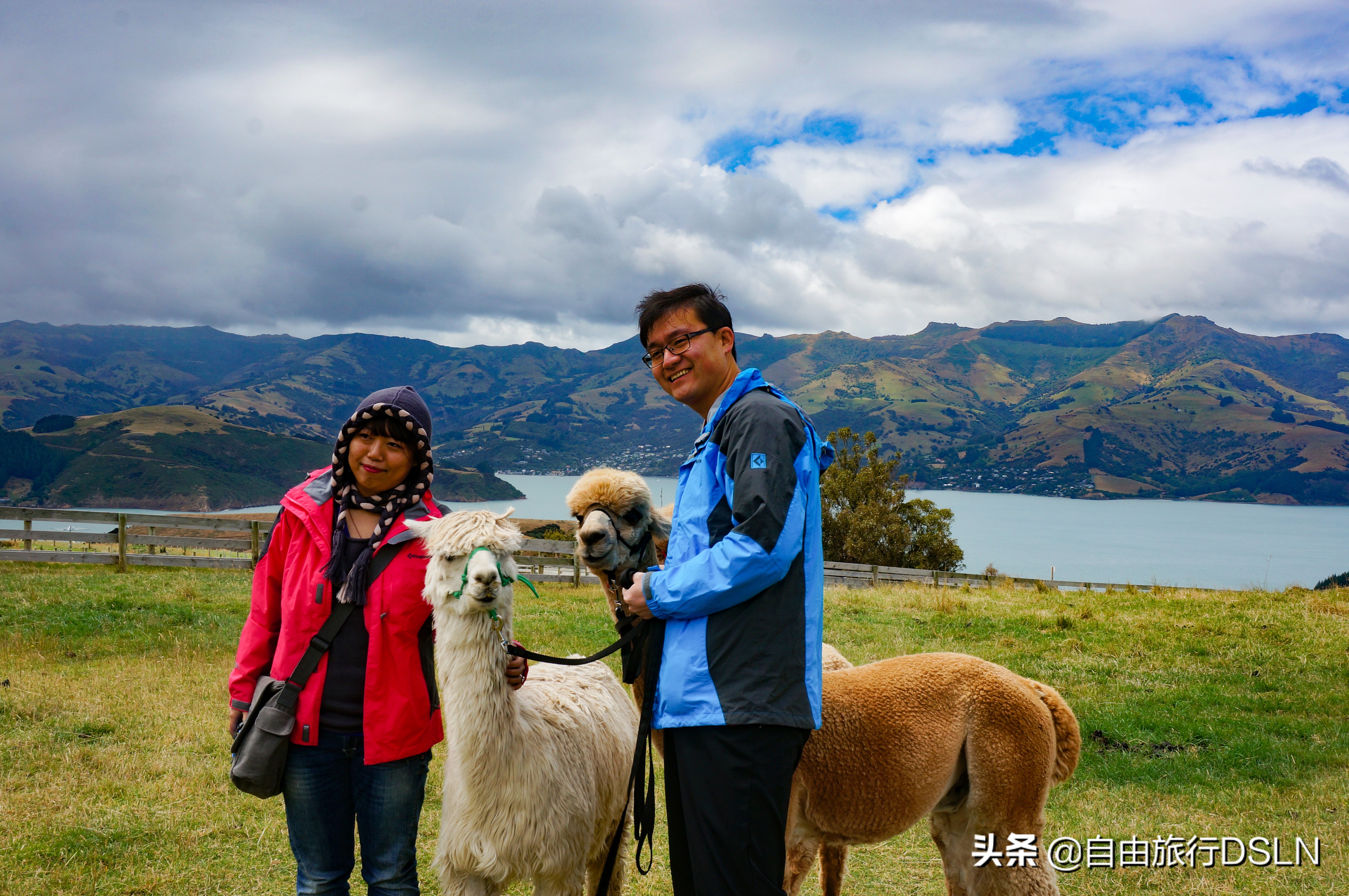 我们夫妻的身体变形记,减肥来之不易,恶心自己高兴别人