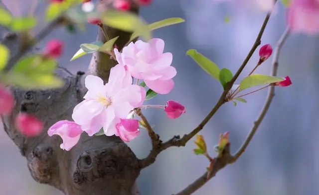 逼着自己离开爱的女人,逼着自己放弃感情的女人