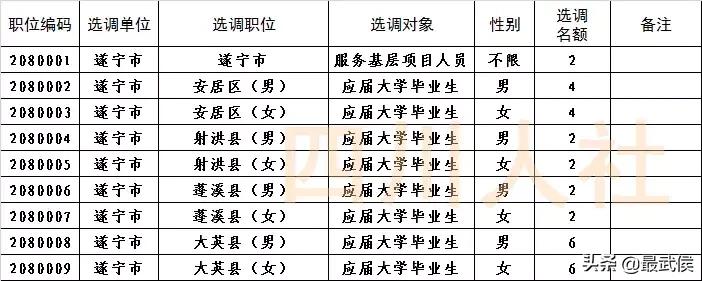 四川选调生2024选调公告官网,四川选调生2024选调公告名额