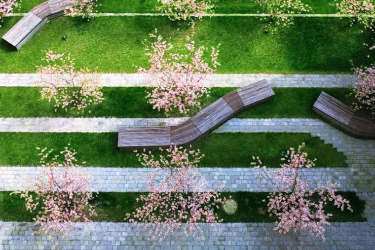 一条景观步道,一条景观路设计图片