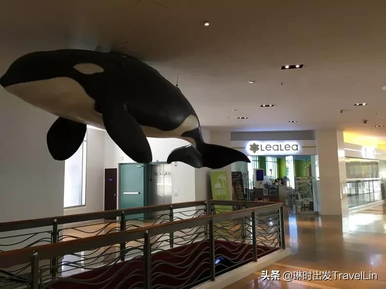 关岛买奢侈品,关岛免税店买什么便宜