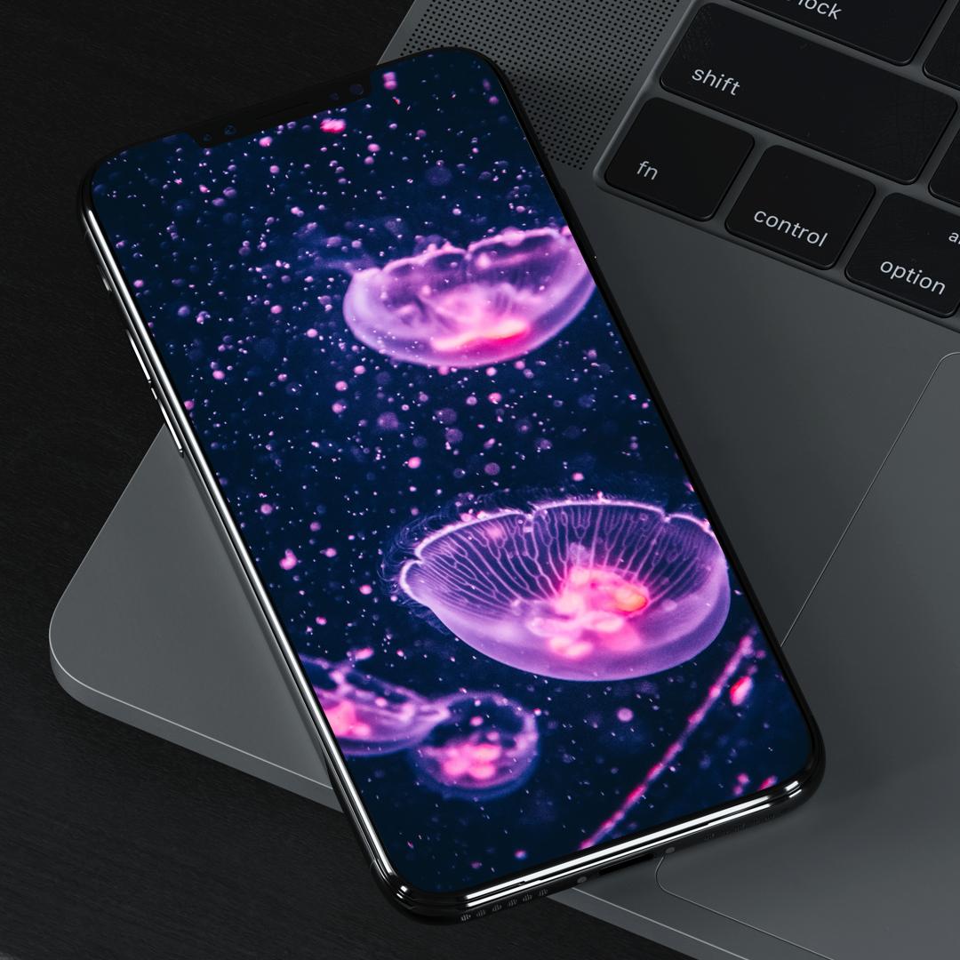 刘海屏手机壁纸苹果,iphone11桌面壁纸刘海屏