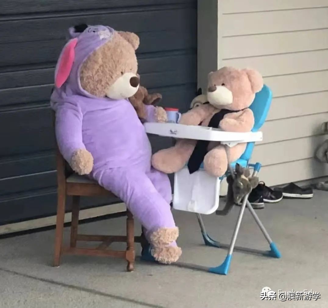 封城期间，玩偶一家的生活大揭秘