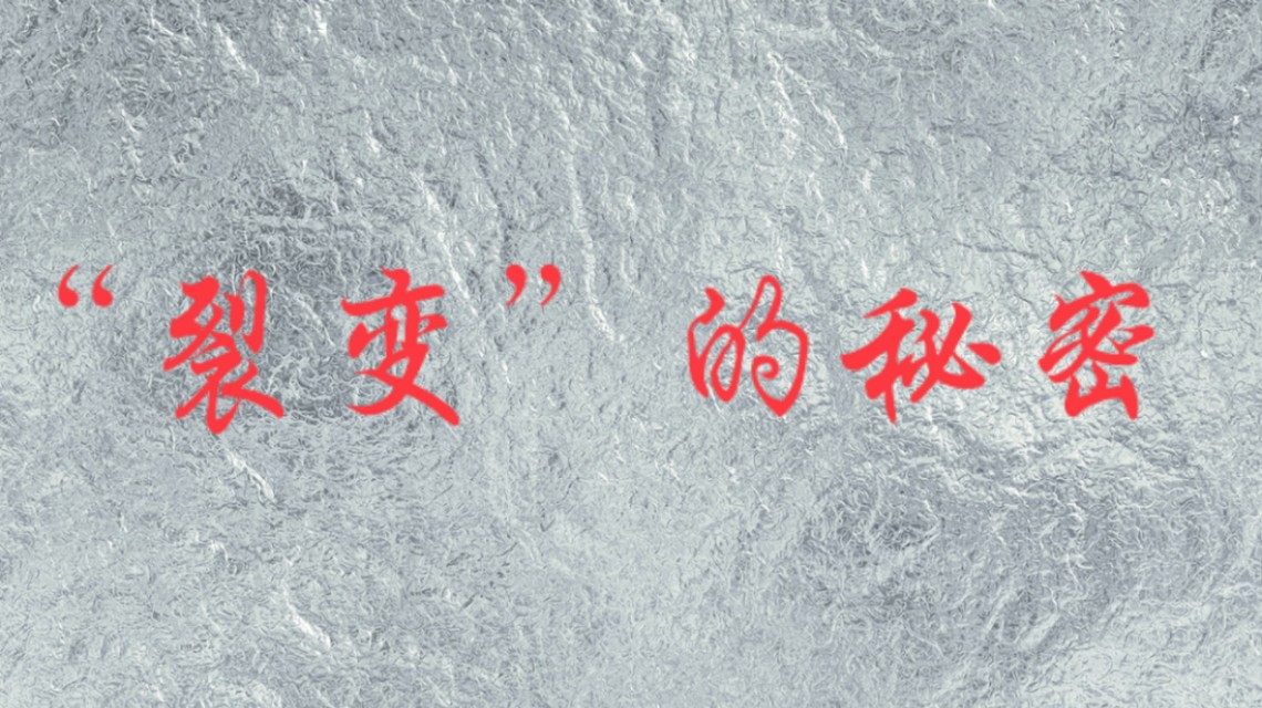 如何做社群营销裂变策略,社群营销裂变的本质有哪些