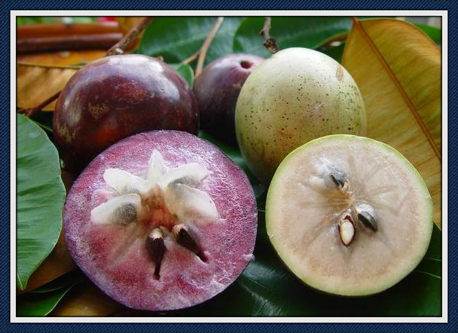 红心苹果怎么培育出来的,早熟苹果哪个品种值得栽种