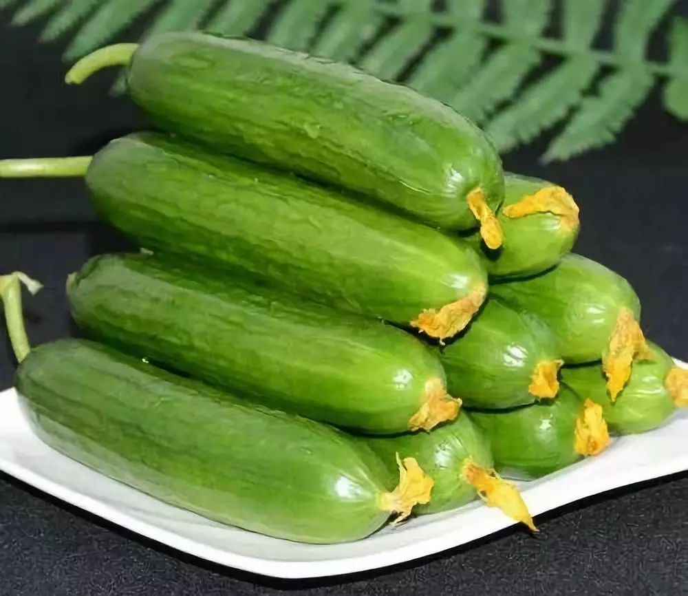 15元一斤种植什么最赚钱,年收入百万的种植品种