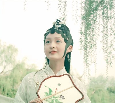 少年只觉黛玉真，成年方晓宝钗妙