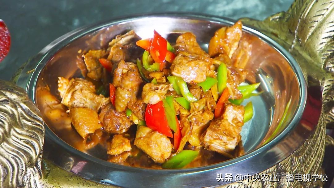 田间示范秀养鸡视频,田间示范秀节目