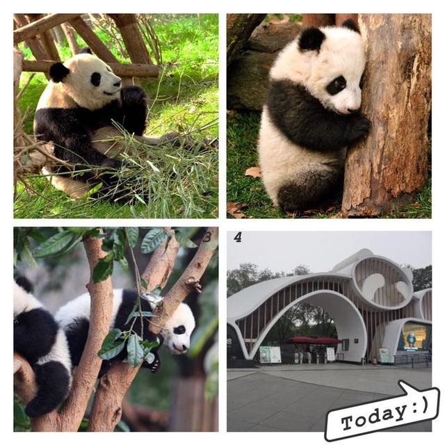 成都两日游旅行攻略,成都到达古冰川2日游攻略多少钱