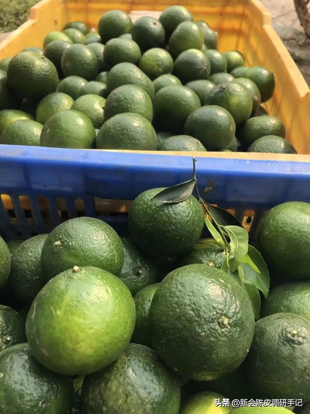 新会最老陈皮多少钱一斤,千万别错过新会陈皮质优价廉