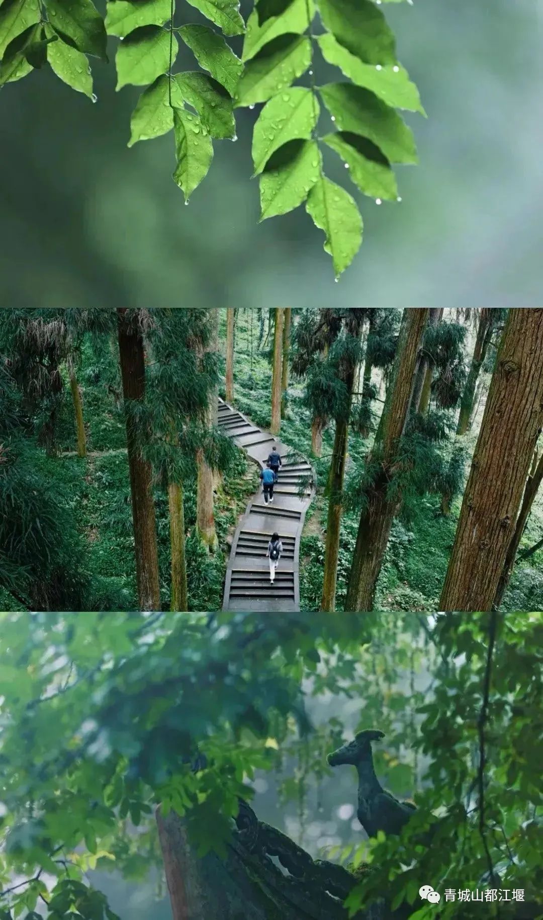 不知道去哪玩就来打卡,不知道去哪里就去成都