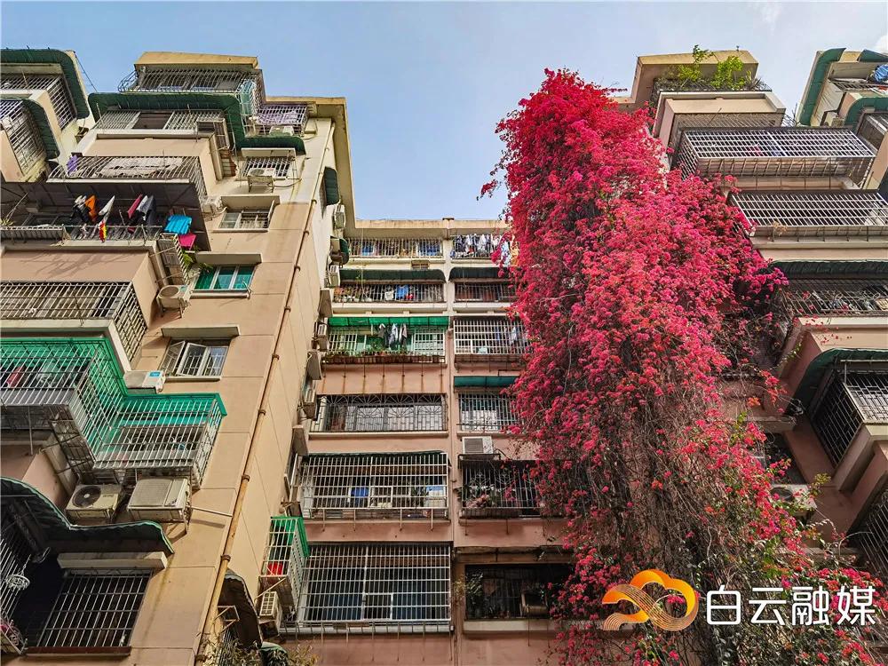 白云看风景,白云看着离地面很近是怎么回事