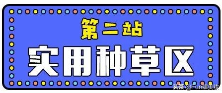 十大网红神器评测,盘点你买了就会后悔的网红神器