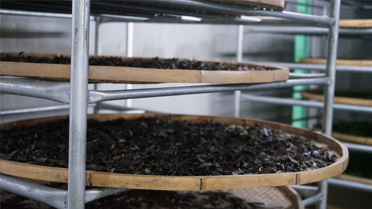 调研联盟,联合调研乡村振兴