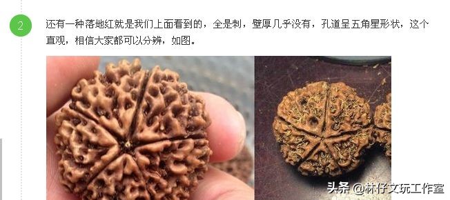 尼泊尔大金刚与落地红的简单区别,印尼大金刚就是落地红吗