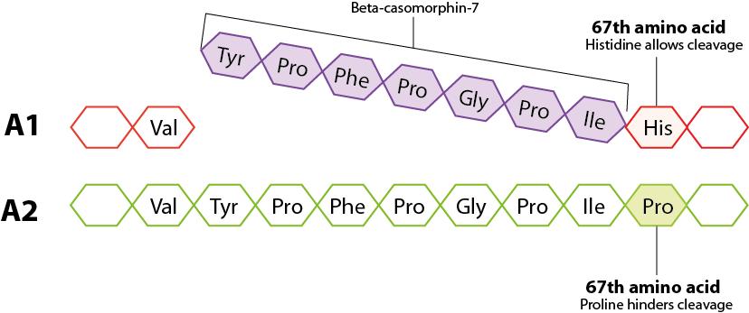深扒a2奶粉,深扒蒙牛伊利牛奶最新信息