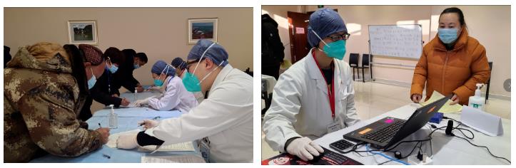 这里的玉兰花开了