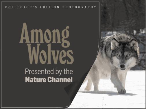 jpg图片批量裁切,如何快速批量裁切图片