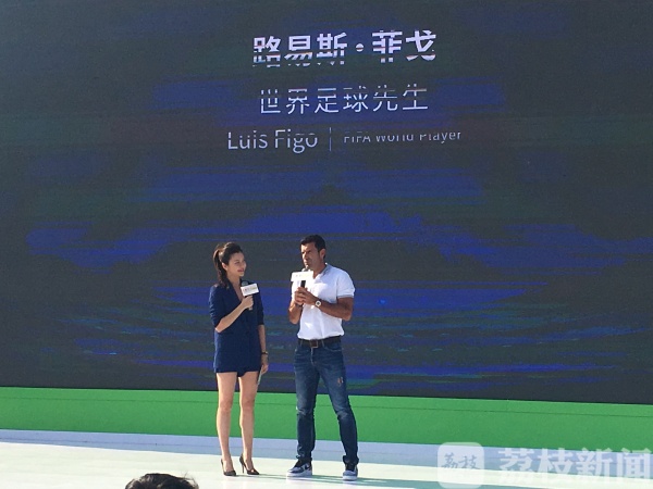 菲戈足球比赛,2001年世界足球先生菲戈