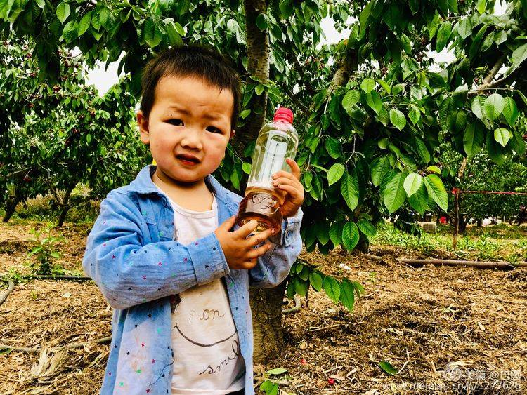 2019年“六一”节，洛阳巴图老师百幅儿童摄影图片