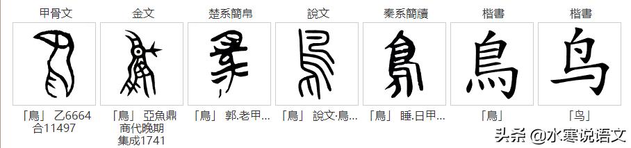 鸟字和乌字有什么区别,乌字与鸟字有什么区别