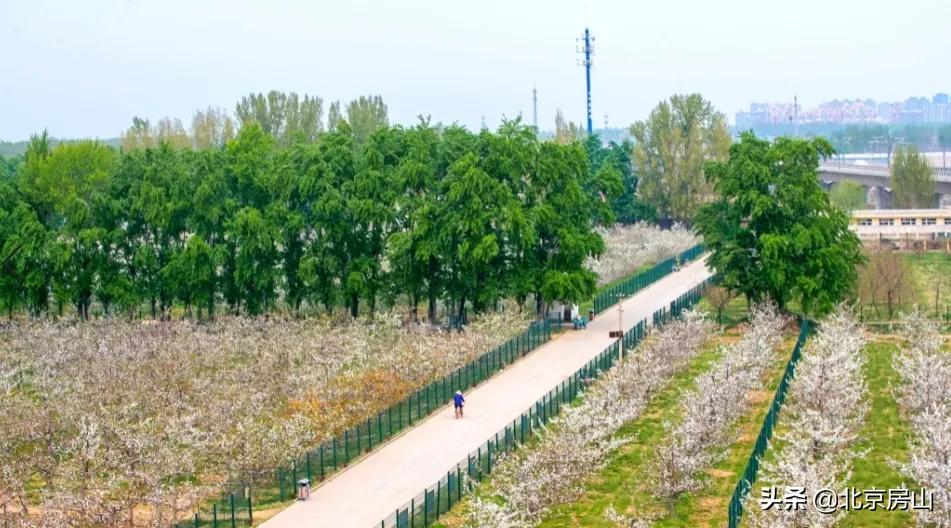 春天房山赏花的地方有哪些,房山赏花攻略