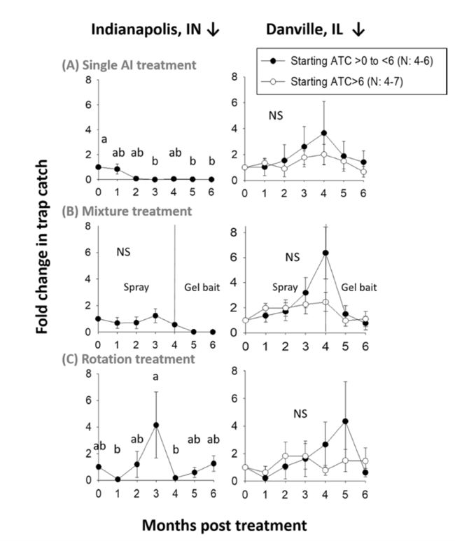 你家的蟑螂多吗,你家的蟑螂再嚣张也躲不过这一招