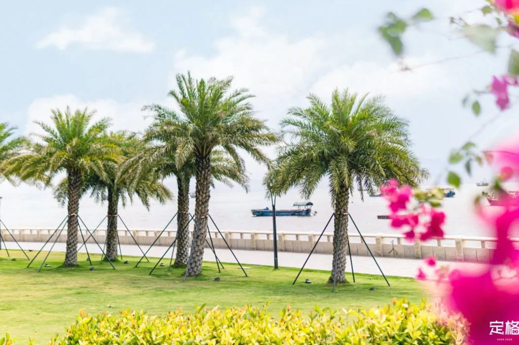 深圳人少的海滨公园,深圳滨海公园怎么样