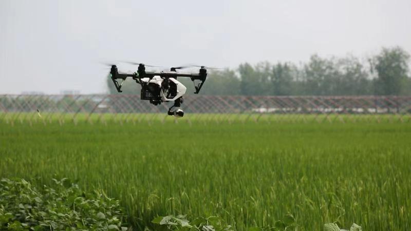 扎扎实实服务乡村振兴战略徐州人保财险创新农险高质量发展纪实