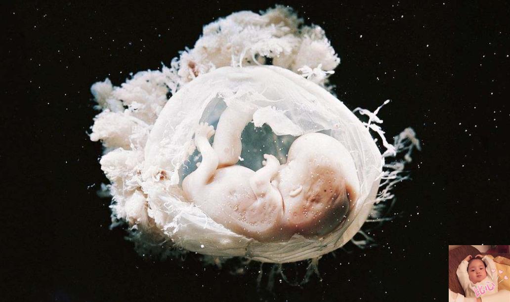 孕妈闹肚子胎儿什么感觉,孕期肚子咕噜代表宝宝在干嘛