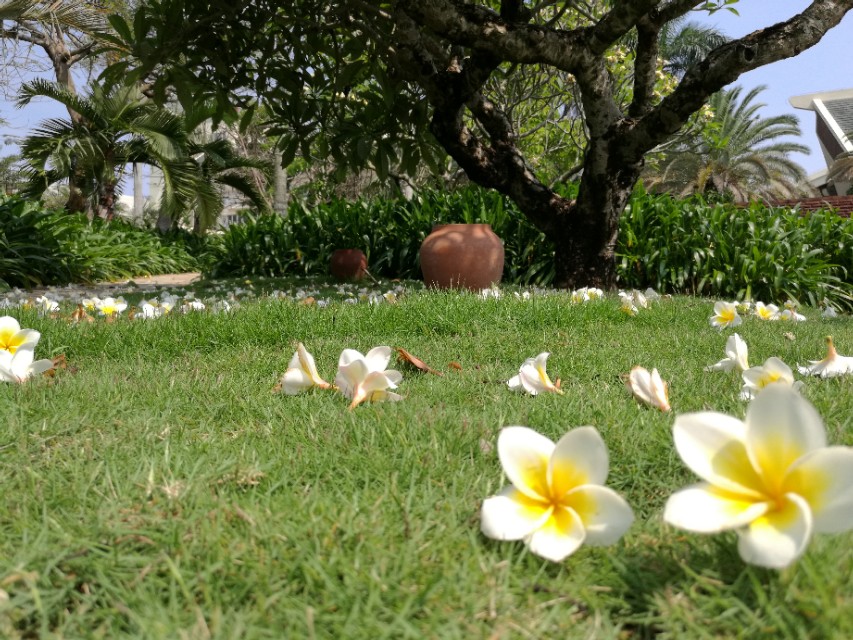 安全须知国际旅游岛 (国际旅游岛最新消息)