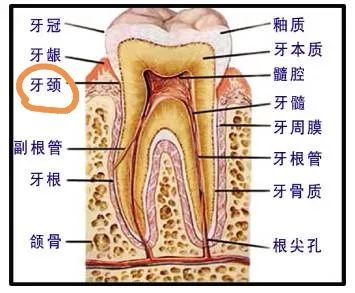 美国警察跪杀案宣判,美国警察跪杀案例