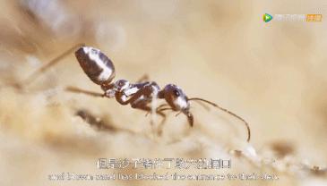 被吹爆的神片,被吹上天的神作