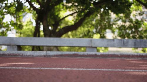 美国仓库出现50万双莆田鞋,美国查获30万双品牌莆田鞋